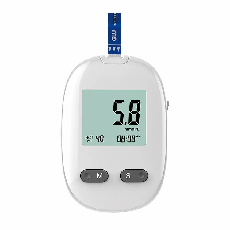 Blood Glucose Monitoring System (9)