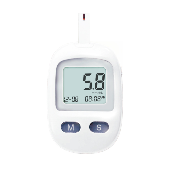 Blood Glucose Monitoring System-211