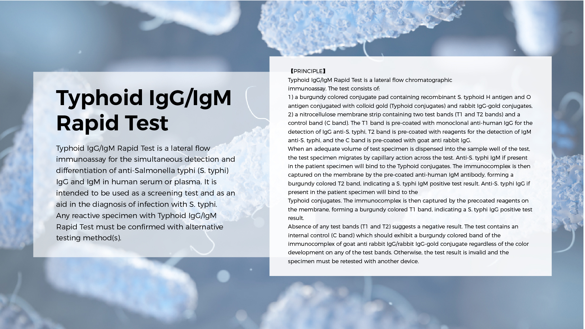 https://www.sejoy.com/typhoid-iggigm-rapid-test-product/