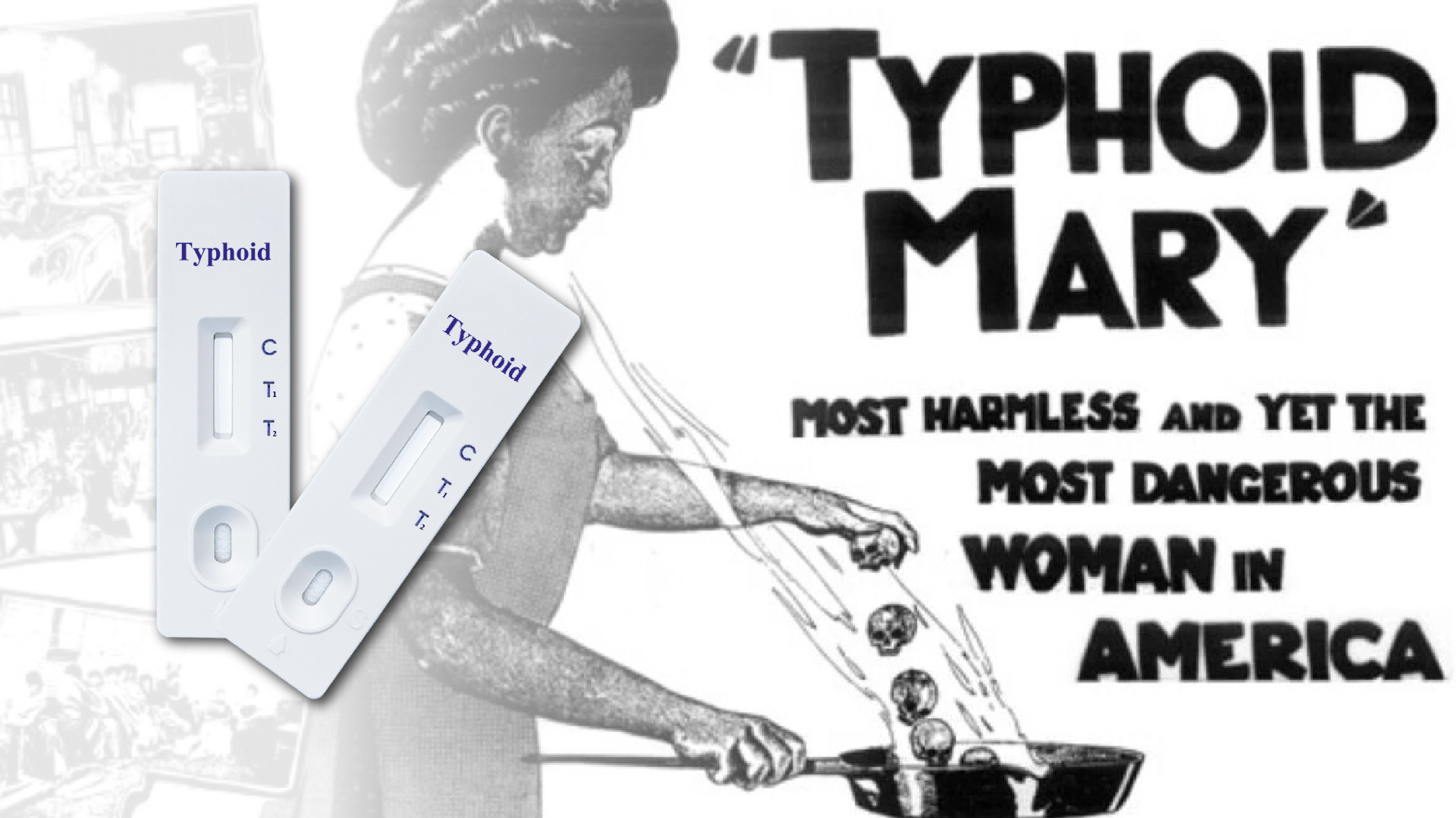 https://www.sejoy.com/typhoid-iggigm-rapid-test-product/
